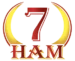 7HAMロゴ - 本格的で優れた品質のソーセージとハム製品